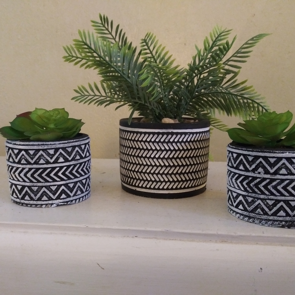 3 pc set of fake succulents in black&white pots